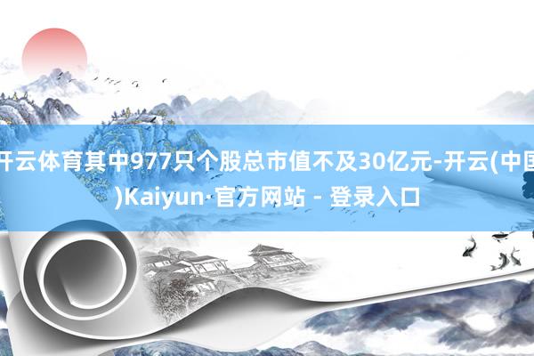 开云体育其中977只个股总市值不及30亿元-开云(中国)Kaiyun·官方网站 - 登录入口