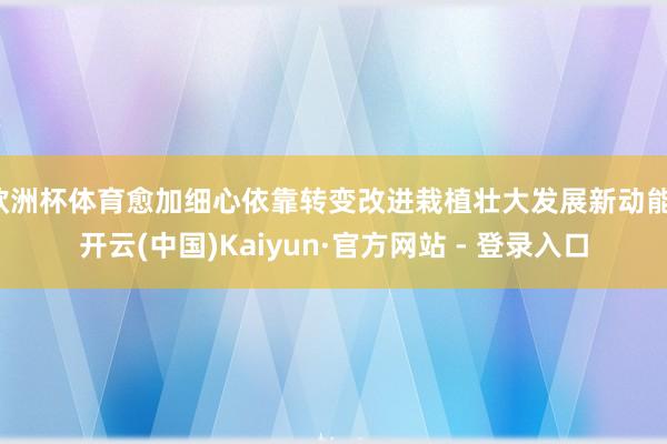 欧洲杯体育愈加细心依靠转变改进栽植壮大发展新动能-开云(中国)Kaiyun·官方网站 - 登录入口