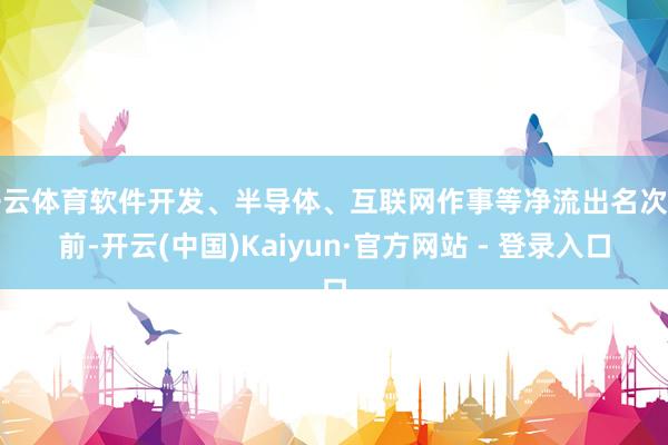 开云体育软件开发、半导体、互联网作事等净流出名次靠前-开云(中国)Kaiyun·官方网站 - 登录入口