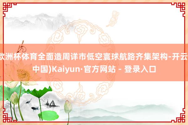 欧洲杯体育全面造周详市低空寰球航路齐集架构-开云(中国)Kaiyun·官方网站 - 登录入口