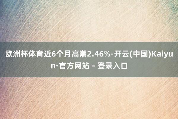欧洲杯体育近6个月高潮2.46%-开云(中国)Kaiyun·官方网站 - 登录入口