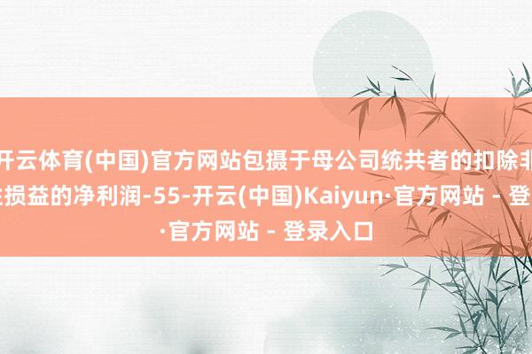 开云体育(中国)官方网站包摄于母公司统共者的扣除非相同性损益的净利润-55-开云(中国)Kaiyun·官方网站 - 登录入口
