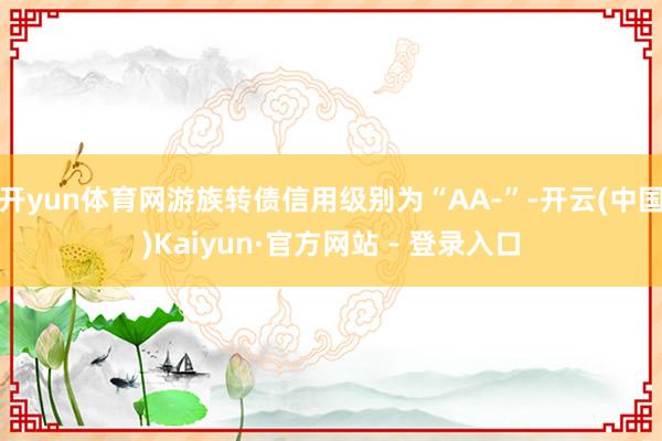 开yun体育网游族转债信用级别为“AA-”-开云(中国)Kaiyun·官方网站 - 登录入口