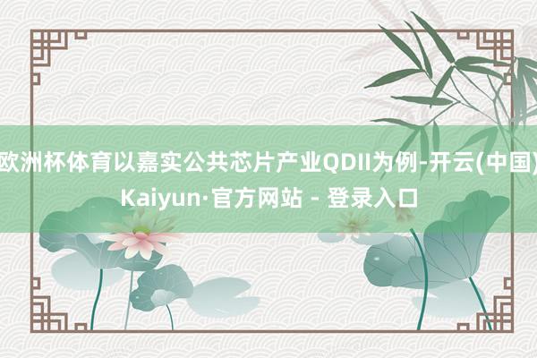 欧洲杯体育以嘉实公共芯片产业QDII为例-开云(中国)Kaiyun·官方网站 - 登录入口